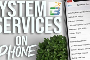 What is Device Management in System Services iPhone?